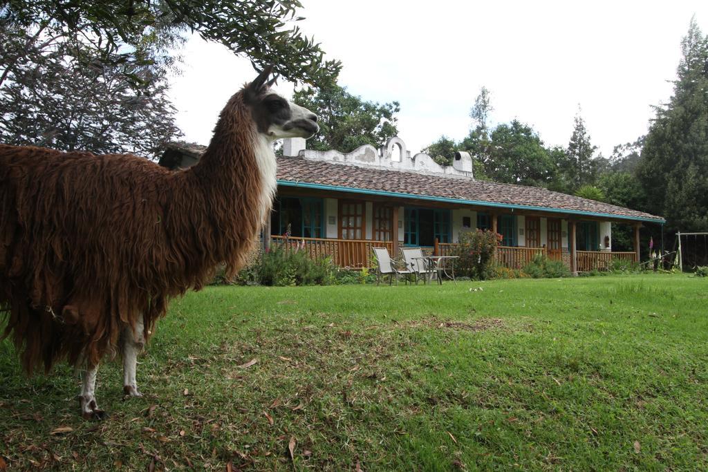Las Palmeras Inn Otavalo Esterno foto