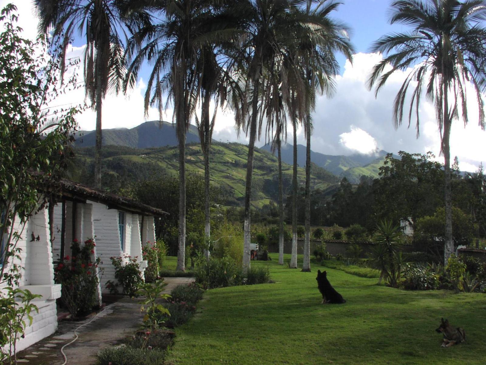 Las Palmeras Inn Otavalo Esterno foto